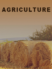 Global In-door Farming Market Research Report 2024(Status and Outlook)
